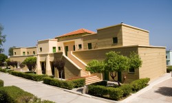 Sed blandit massa vel